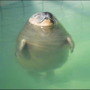 Meet your Posher, Fatima